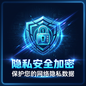 傲盾网络加速器免费版